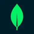 MongoDB logo